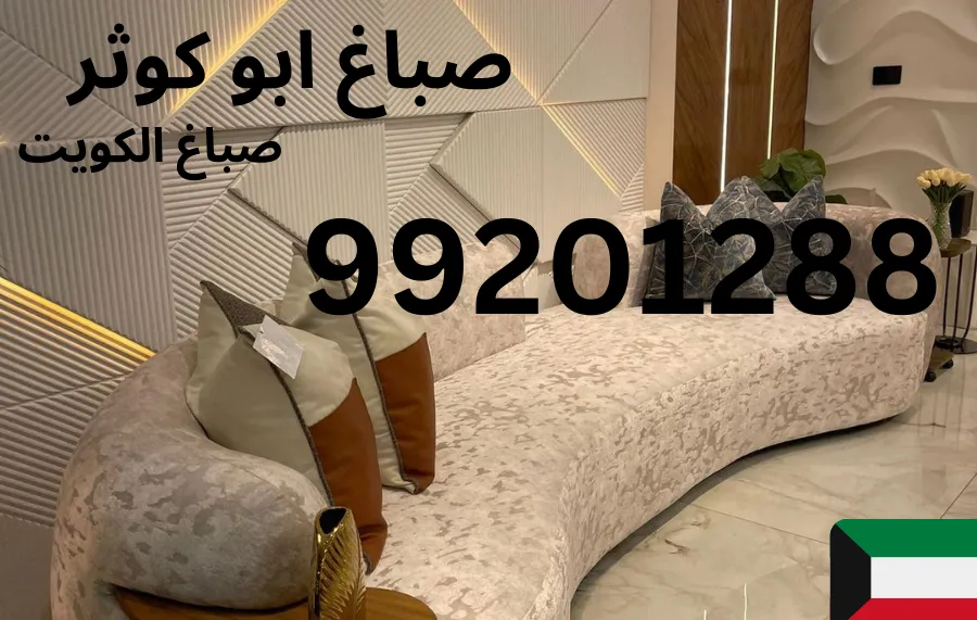 مشروع صباغة فيلا